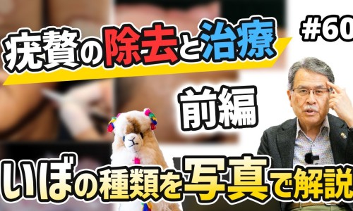 开灵的功效与作用-权威开灵软胶囊是治疗什么的平台,分享专业开灵胶囊知识_开灵的功效网